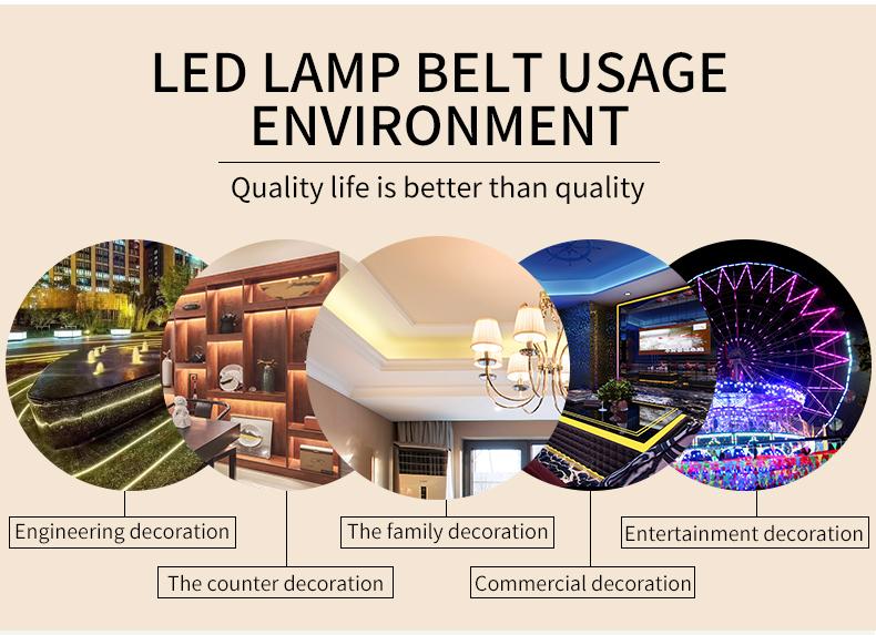 Lightweight Flexible Neon