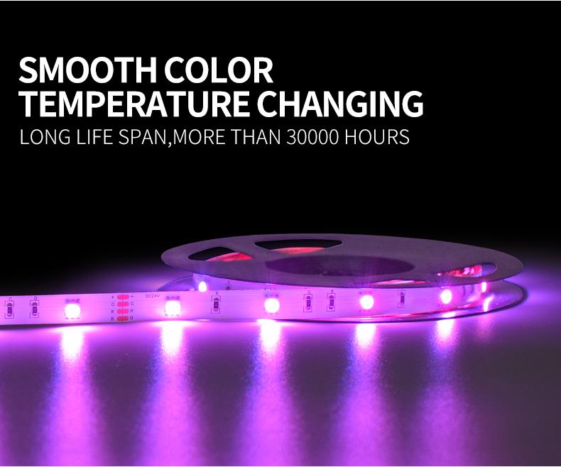 12V 24V LED Strip For Commercial Signage