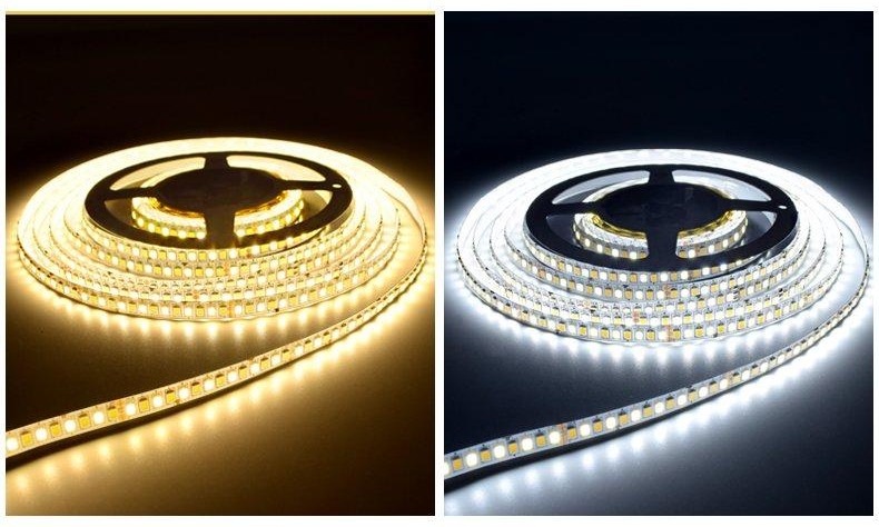 Dual Color Bright Dazzling Anti-Deathbead LED Strip Lights 240LEDs/m
