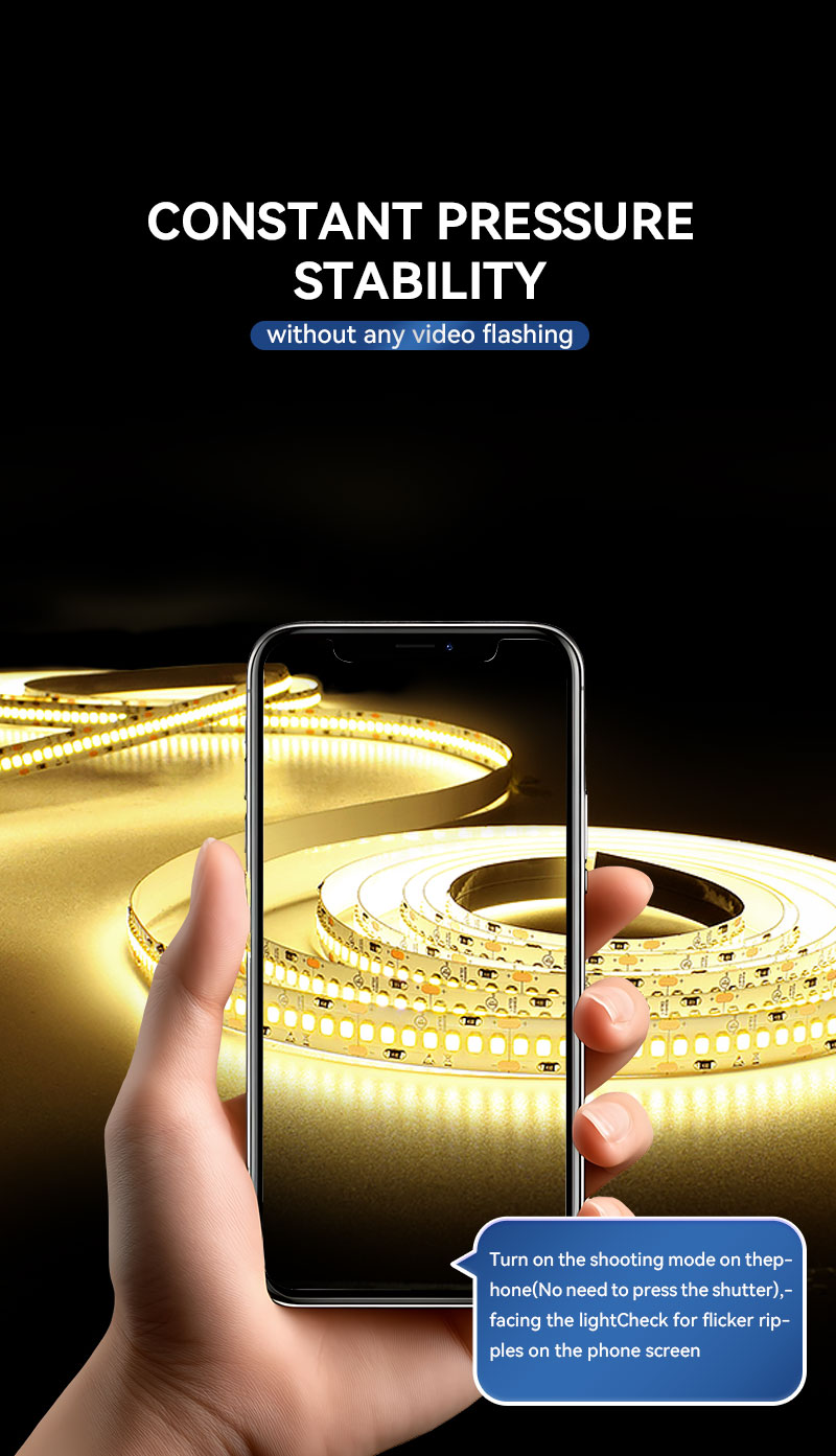 Single Color Strip Lights with Multi-Color