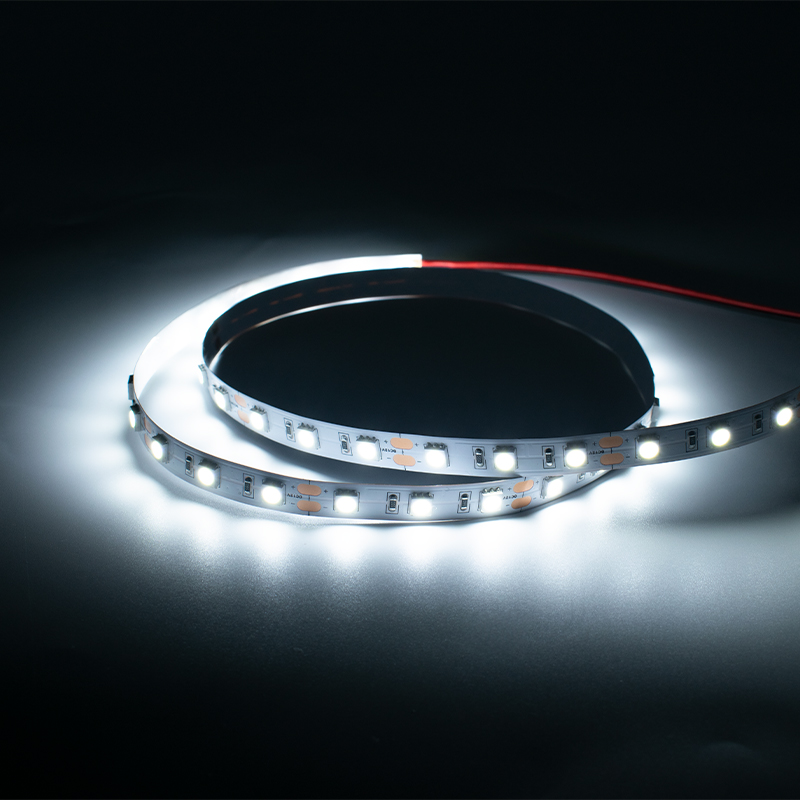 5050 Single Color 60LED/m IP65