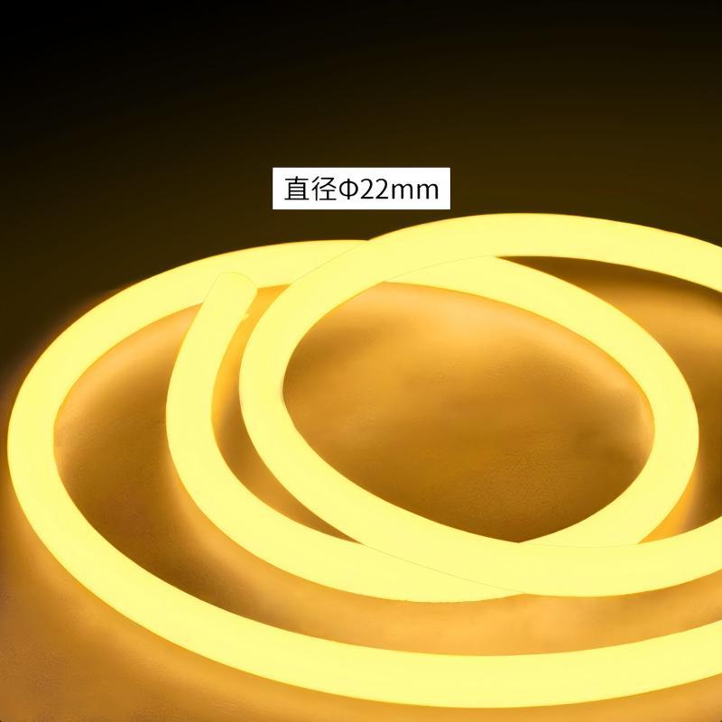 22mm LED Neon Strip